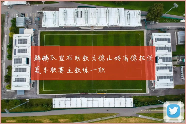 鹈鹕队宣布助教戈德山姆高德担任夏季联赛主教练一职